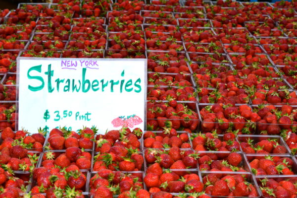 strawberries at nyc farmers market
