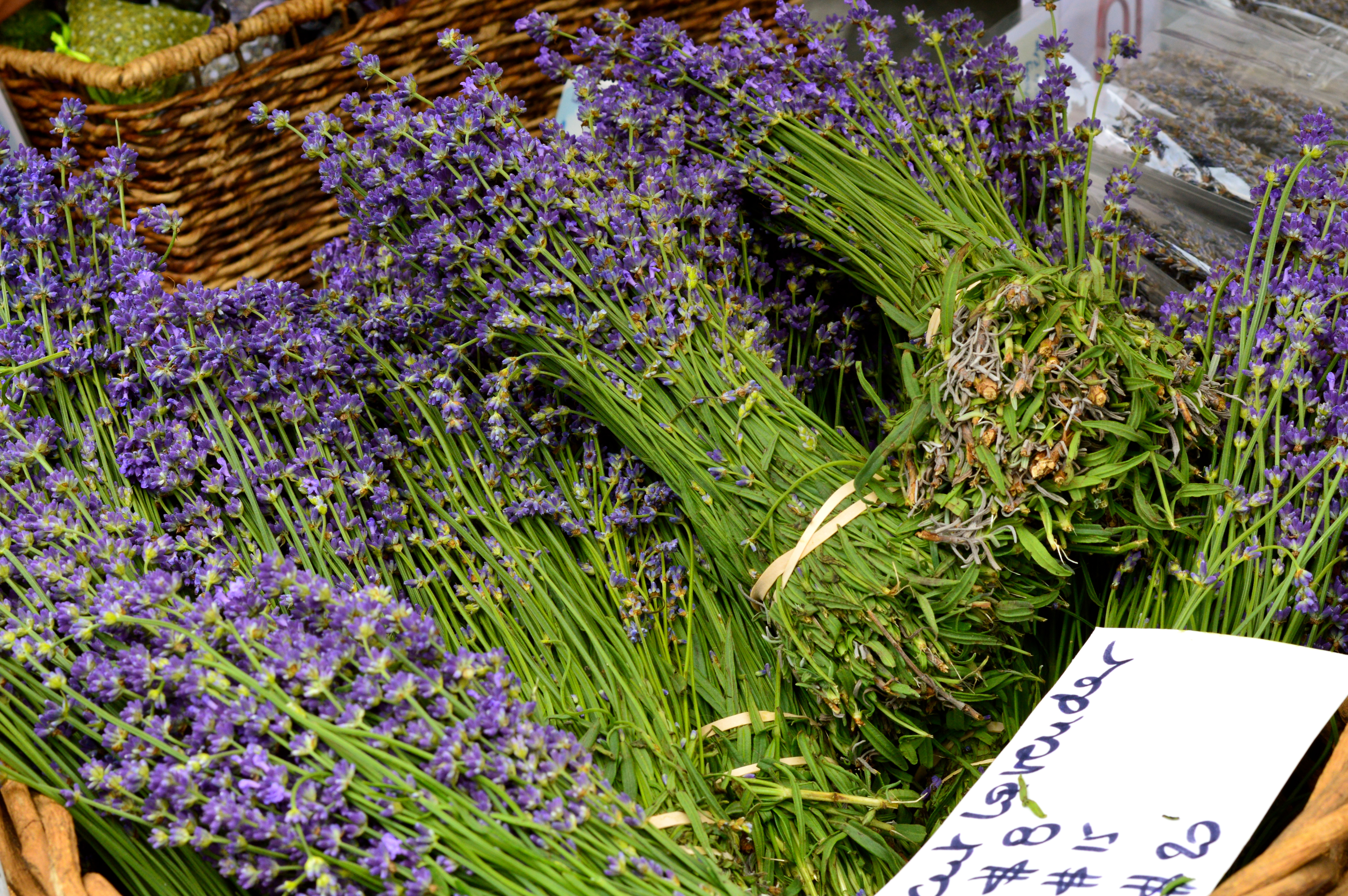 lavender at nyc farmers market