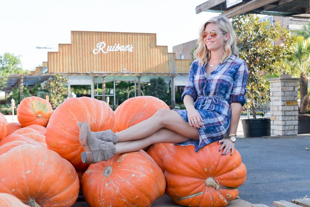 sitting on giant pumpkin in blue plaid shirtdress